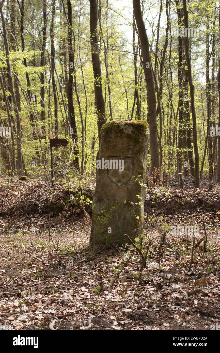 Monument en pierre sur un chemin de randonnée près du monument Hinkelstein un jour de printemps dans la forêt du Palatinat en Allemagne. Banque D'Images