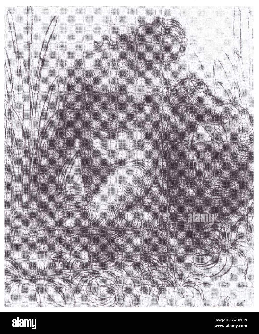 LEONARDO DA VINCI.ETUDE POUR LE LEDA À GENOUX.1508.BLACK CHALK.PEN ET ENCRE.125 MM X 110 MM Banque D'Images