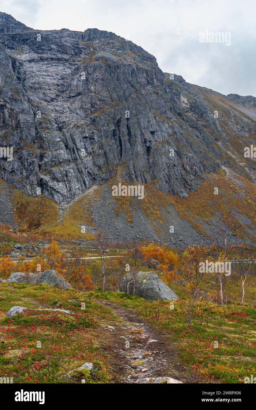 Pierre unique, rocher, pierre glaciaire arrondie sur l'île de Kvaløya, à Troms, Norvège. vallées glaciaires profondes avec arbres colorés en automne et pic rocheux Banque D'Images