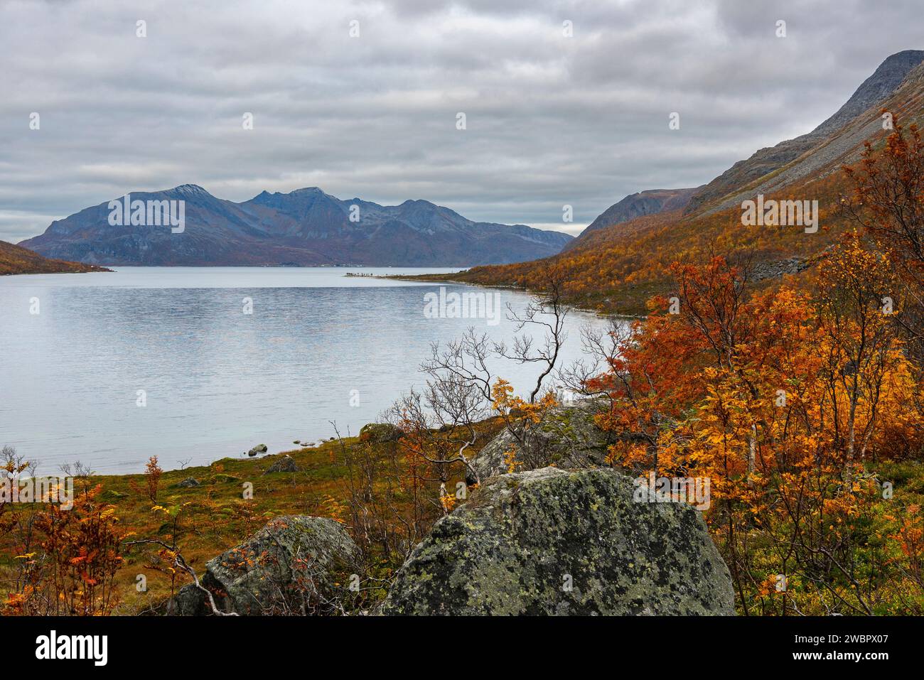 Pierre unique, rocher, pierre glaciaire arrondie sur l'île de Kvaløya, à Troms, Norvège. vallées glaciaires profondes avec arbres colorés en automne et pic rocheux Banque D'Images