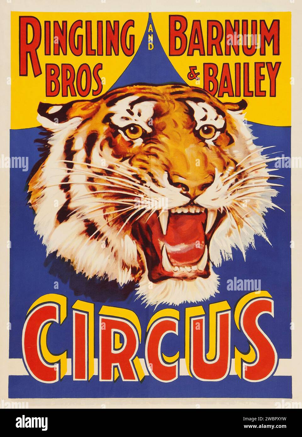 Circus Poster (Ringling Brothers et Barnum & Bailey, années 1930) avec un tigre rugissant Banque D'Images