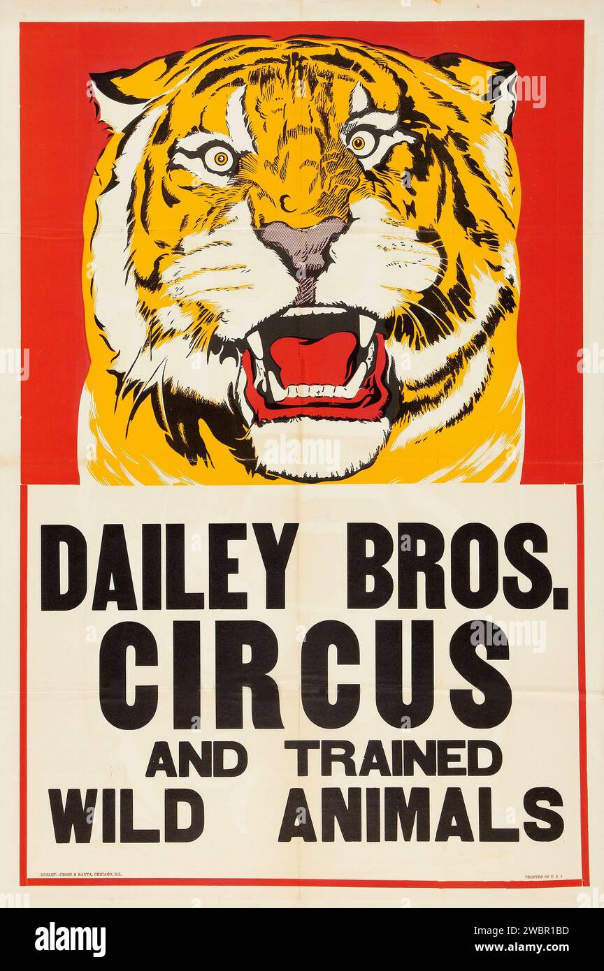 Affiche de Dailey Bros Circus feat a tigre - animaux sauvages dressés - années 1940 Banque D'Images