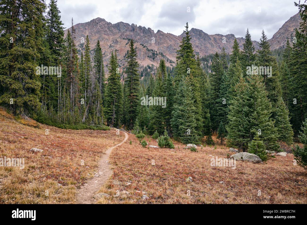 Sentier de randonnée dans Eagles Nest Wilderness, Colorado Banque D'Images