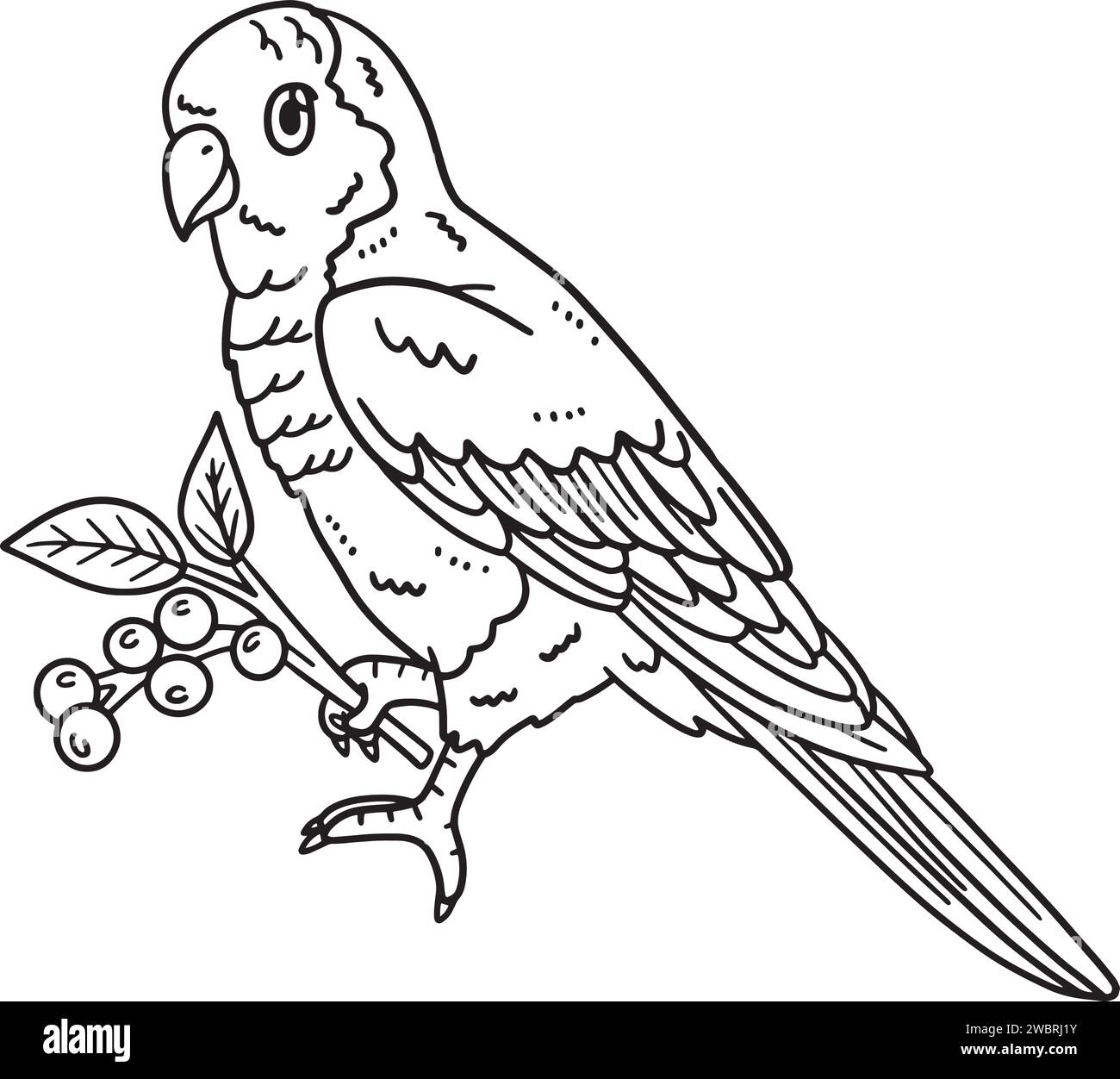 Monk Parakeet Bird isolé Coloriage page pour les enfants Illustration de Vecteur