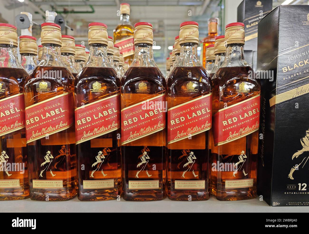 Oryol, Russie - 10 janvier 2024 : bouteilles de Whiskey Scotch Red Label Johnnie Walker sur une étagère de magasin dans un supermarché Banque D'Images