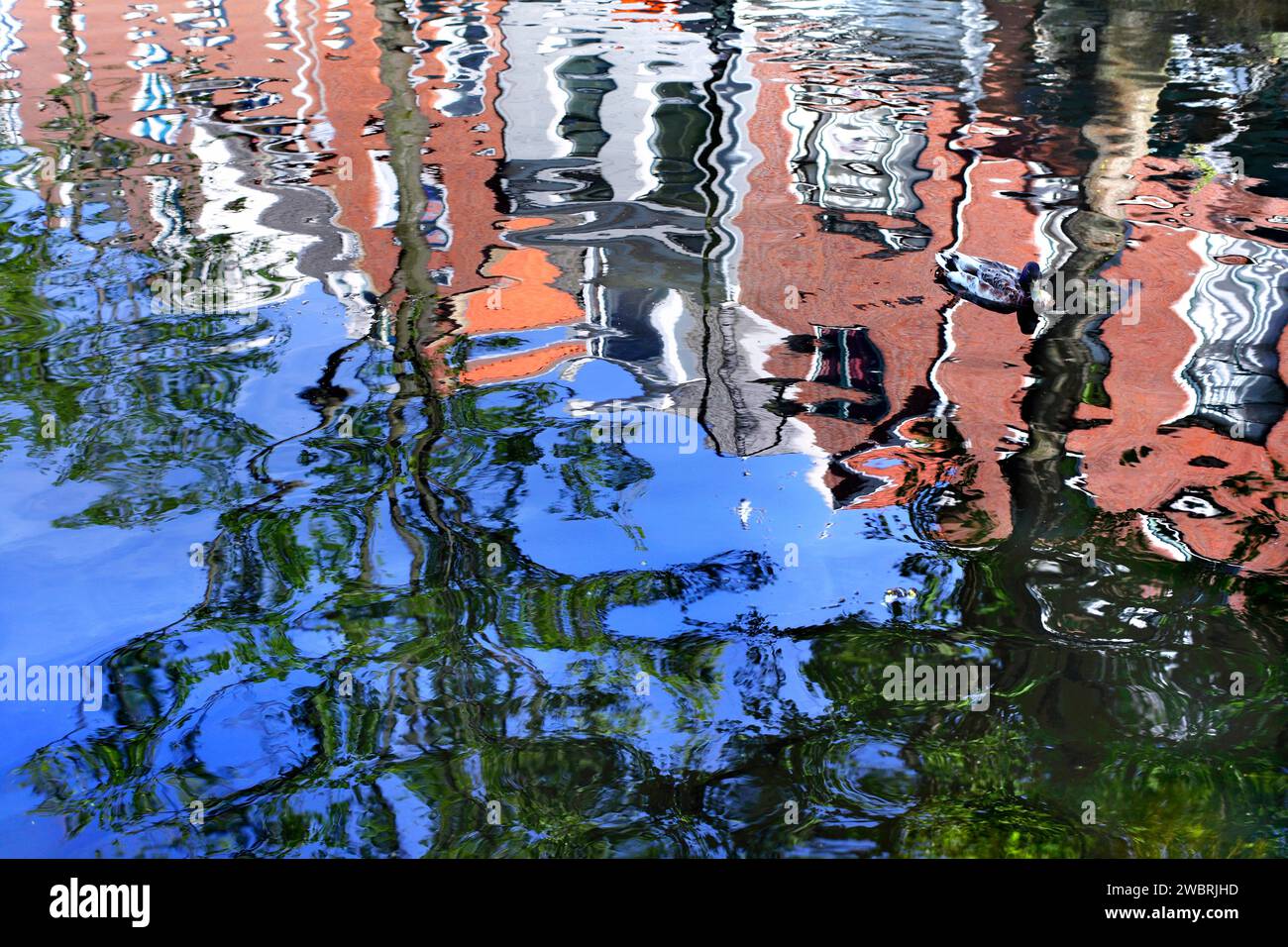 Reflets dans un canal de bâtiments et d'arbres sur une rue près du centre-ville de Delft. Banque D'Images