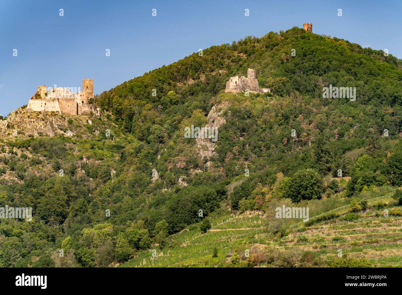 Die drei Burgen von Ribeauvillé, Elsass, Frankreich | trois châteaux de Ribeauville, Alsace, France Banque D'Images