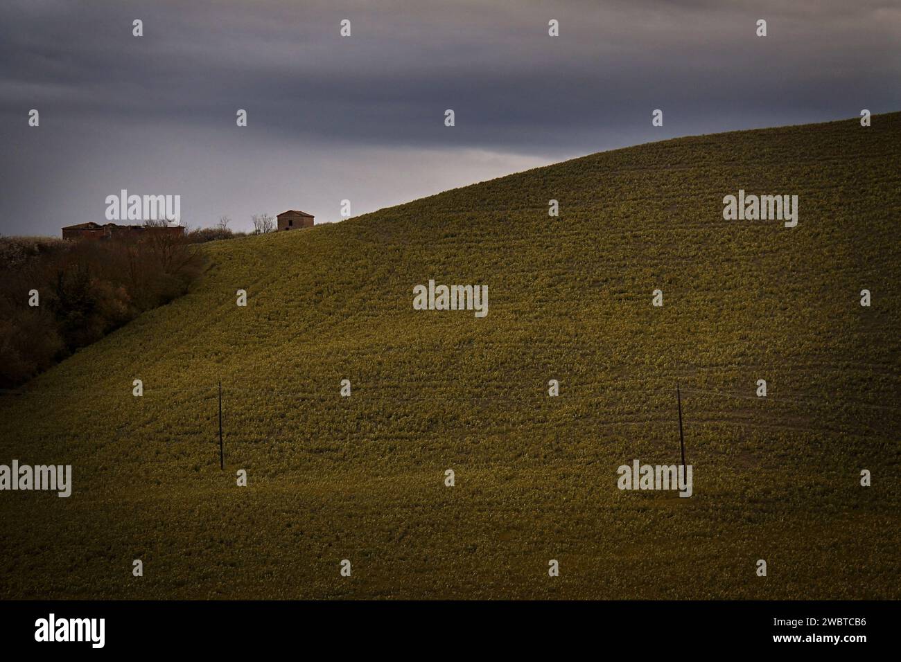 Un hangar solitaire sur le sommet d'une colline en Toscane, Italie. Banque D'Images