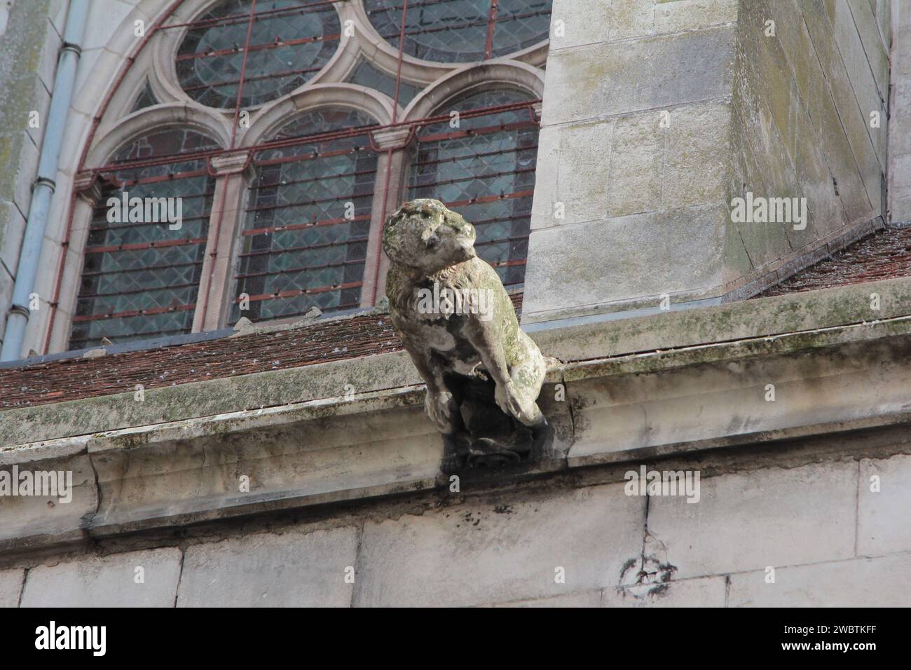 Une gargouille ressemblant à un singe à l'extérieur de l'église St Pantaléon à Troyes, France. Banque D'Images