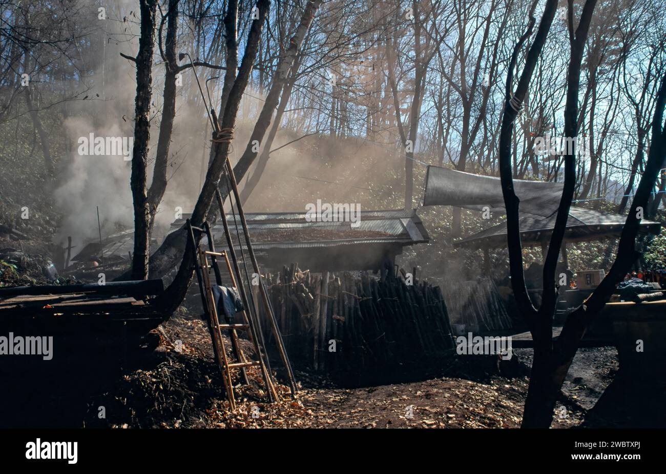 Préparation du charbon de bois au Japon paquets de bois à l'extérieur de la hutte prêts à brûler en charbon de bois Banque D'Images