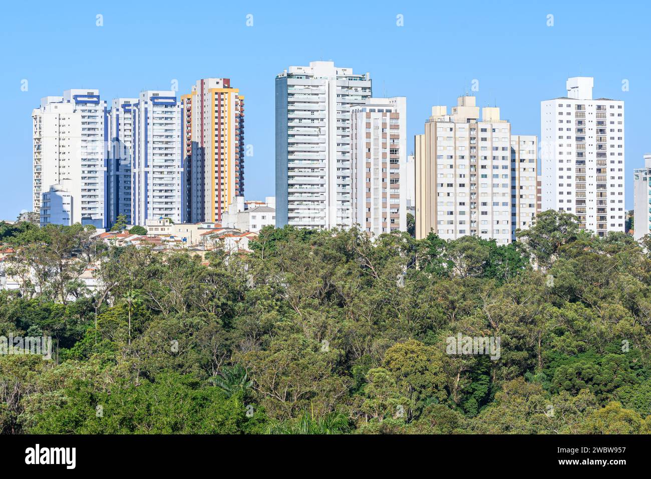 Grands bâtiments derrière un vaste espace vert d'arbres. Concept de ville verte. Photo prise à Sao Paulo - SP, Brésil. Banque D'Images