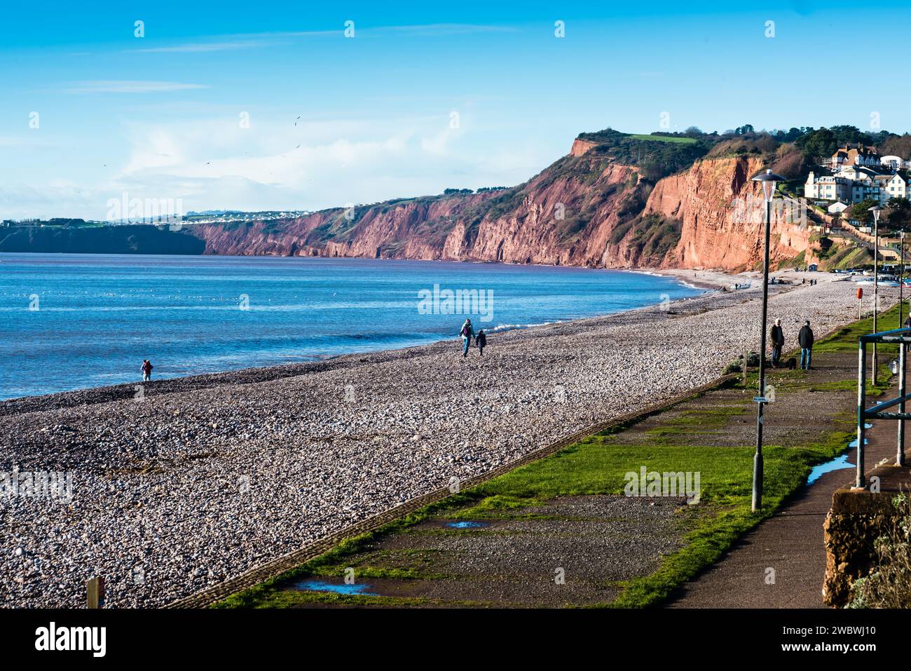 Budleigh Beach et falaises. Banque D'Images
