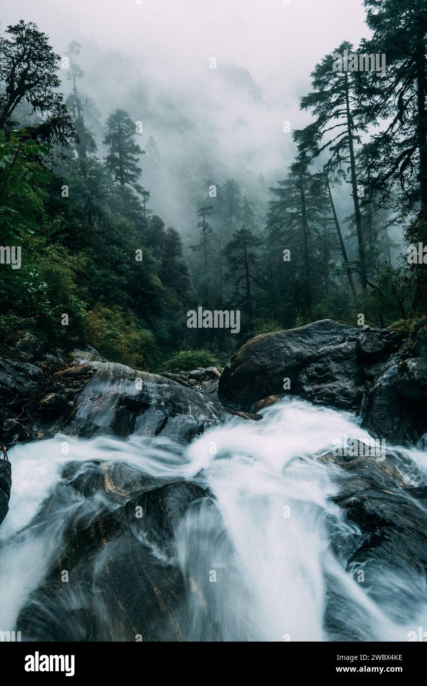 Puissante crique de montagne traversant les gros rochers dans les jungles brumeuses de la forêt tropicale humide dans le parc national de Makalu Barun près de Chatra Khola Banque D'Images
