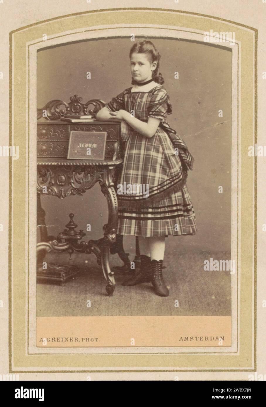 Portrait d'une fille dans une robe avec un diamant écossais avec un bureau avec des livres, Albert Greiner, 1862 - c. 1900 Photographie. Carte de visite partie de l'album photo d'une famille néerlandaise avec 168 cartes-de-visite et photos de cabinet. Amsterdam Cardboard. papier. support photographique albumen estampe personnes historiques. robe, robe. studio requiites ~ photographe. Styles de coiffure - AA - ~ femmes Amsterdam Banque D'Images