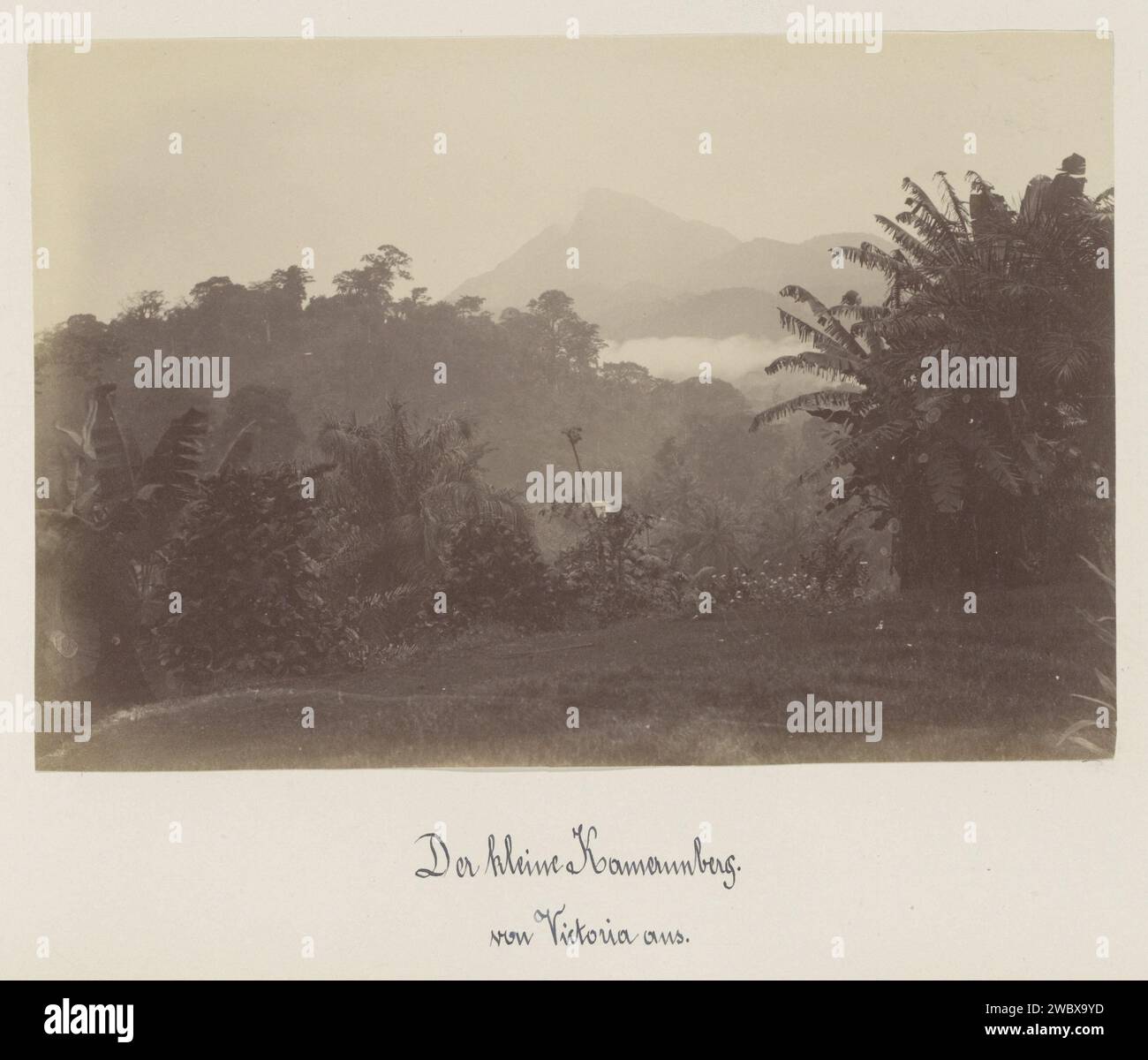 Vue du Mont Cameroun (Mont Cameroun) depuis Victoria (Cameroun), Anonyme, 1899 photographie partie de l'album photo avec des enregistrements du Cameroun vers 1899. Cameroun support photographique albumen print volcan Cameroun Banque D'Images
