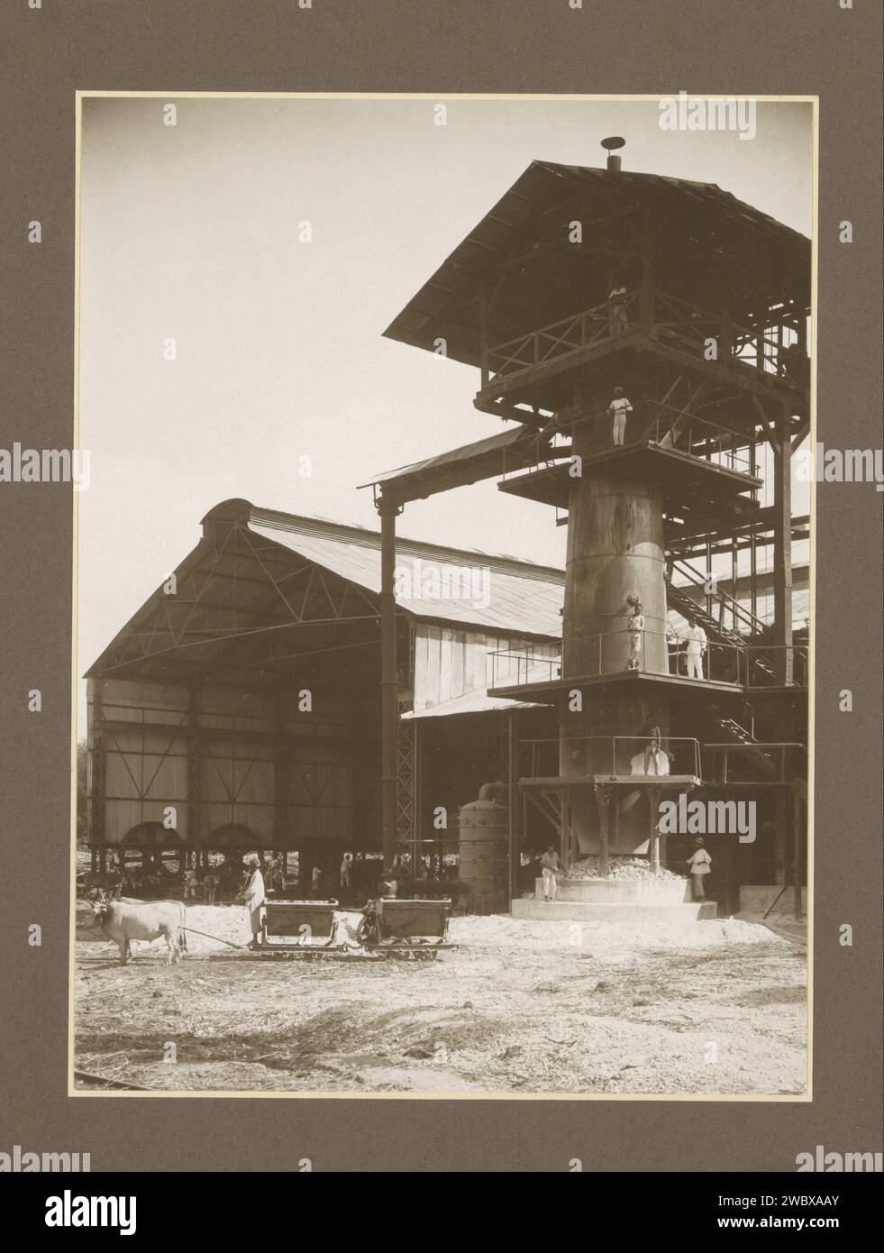 Kalkoven et les employés de l'usine de sucre Budoeran à Sidoarjo sur Java, c. 1925 - c. 1930 photographie partie de l'album photo avec des enregistrements de quatre usines de sucre sur Java. Carton Sidoarjo. papier. support photographique gélatine argentique sucre imprimé. plantation. plantes et herbes : canne à sucre. brûleur à chaux. Classe ouvrière, ouvriers Indes orientales néerlandaises, les. Sidoarjo Banque D'Images