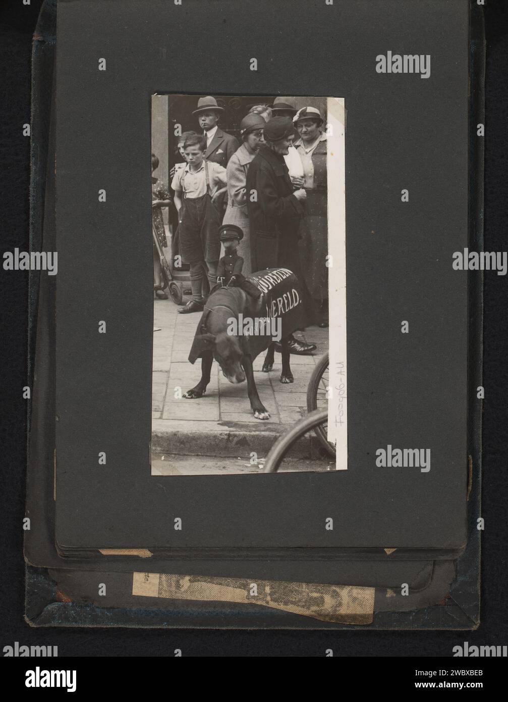 Chien publicitaire avec poupée d'agent et texte publicitaire 'nous voyageons pour le monde' P sur le dos, anonyme, 1930 - 1940 photographie cette photo fait partie d'un album. support photographique pour chien imprimé argentique à la gélatine. publicité. poupées pour adultes Banque D'Images