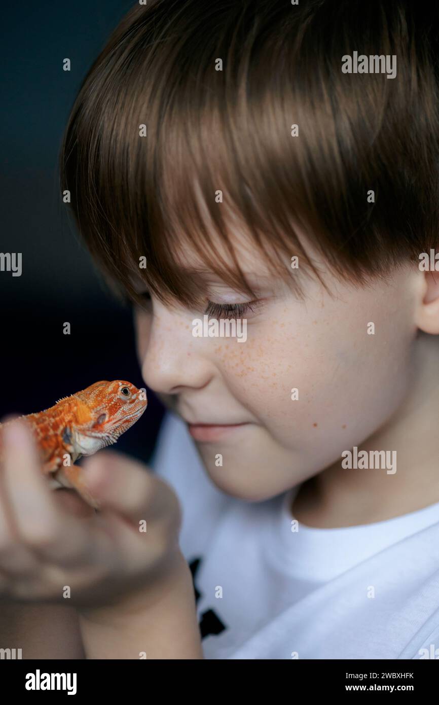 Portrait d'un garçon avec Agama iguana barbu rouge. Petit enfant jouant avec reptile. Mise au point sélective. Photo de haute qualité Banque D'Images