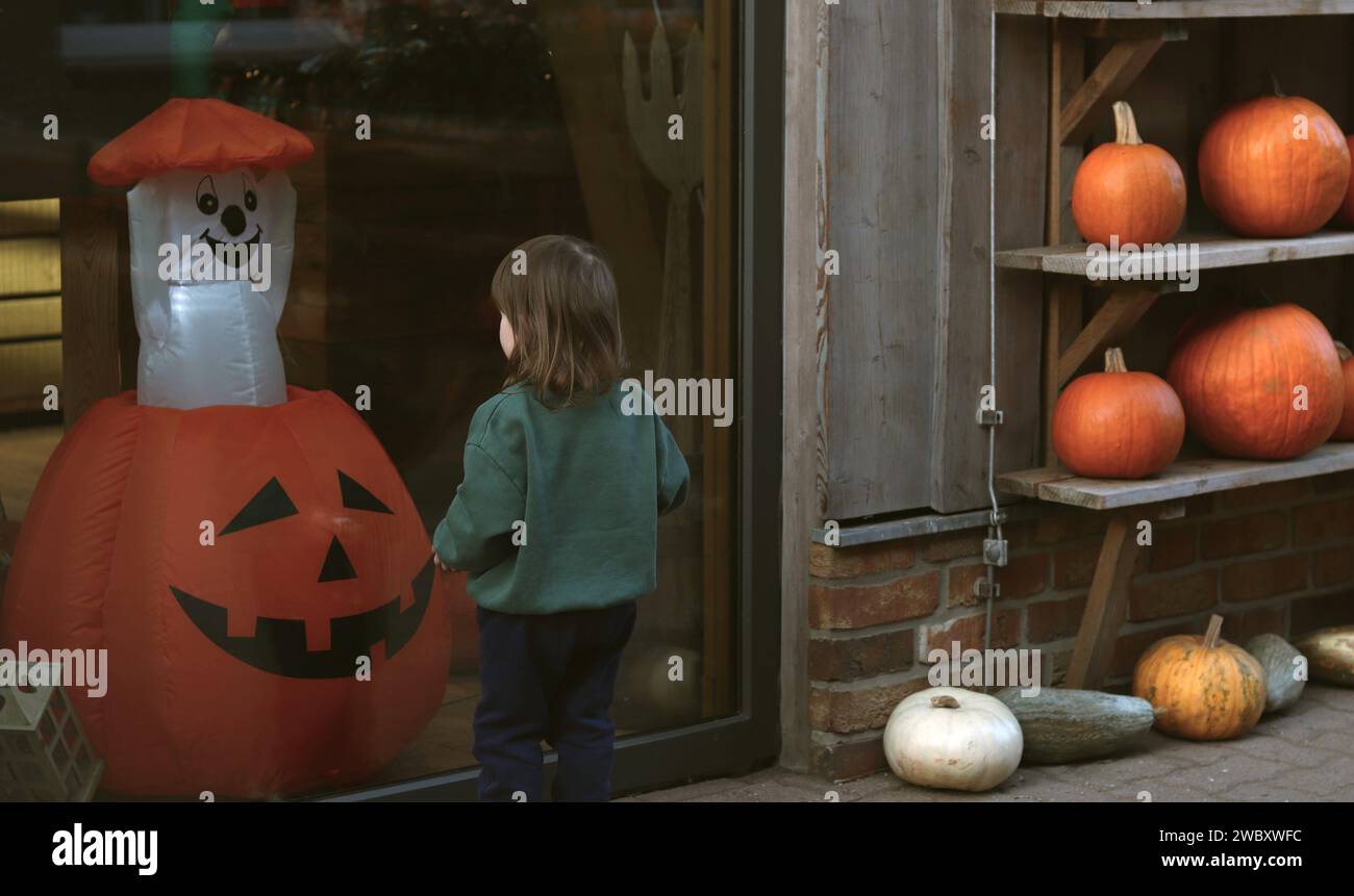 petit enfant devant la fenêtre du magasin regardant jack o lanterne et fantôme à l'intérieur et citrouilles oranges sur des étagères en bois. Halloween, concept d'enfance Banque D'Images