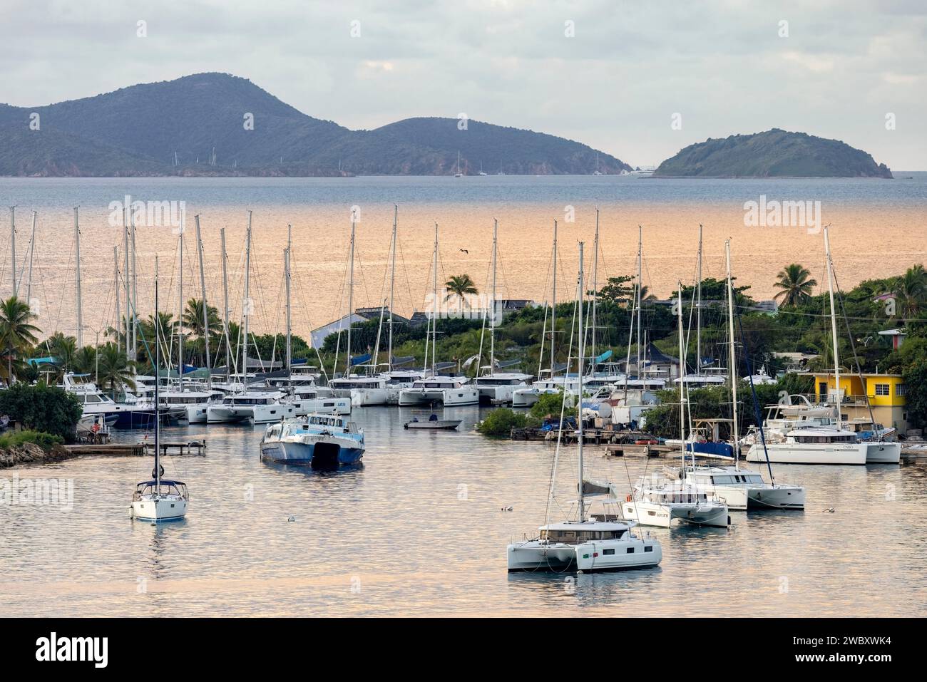 Marina tôt le matin lumière - Road Town, Tortola, Îles Vierges britanniques Banque D'Images