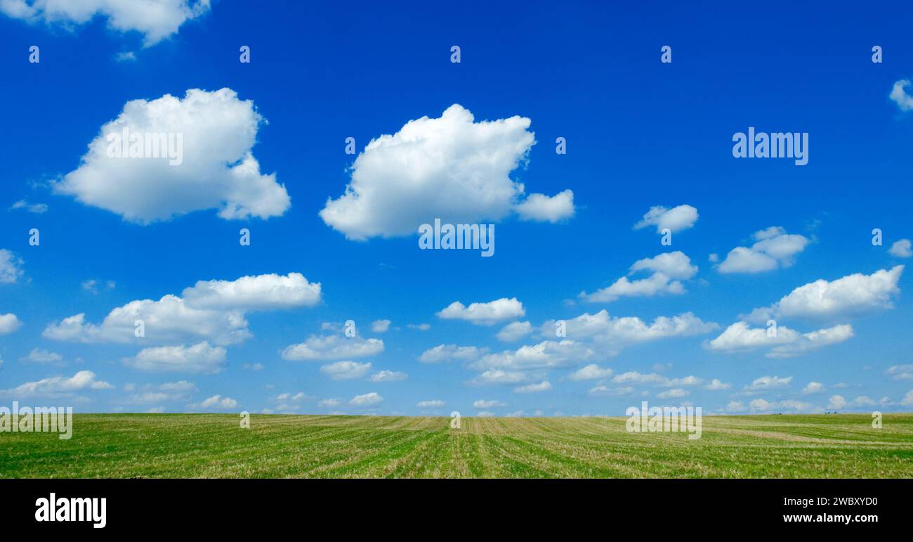 Champ avec ciel bleu et blanc pelucheux cumulus humilis beau temps nuages, Bavière, Allemagne, Europe Banque D'Images