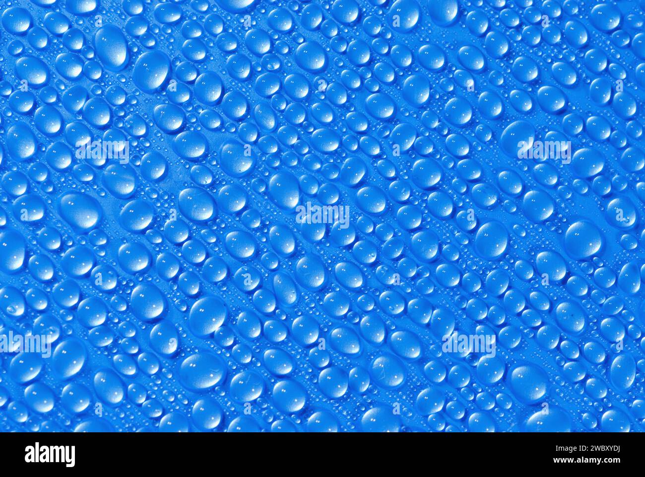 gros plan, macro de nombreuses gouttes d'eau, gouttelettes, sur une surface bleue, fond Banque D'Images