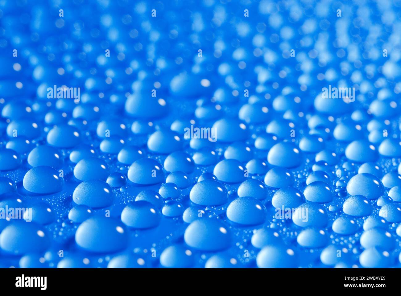 gros plan, macro de nombreuses gouttes d'eau, gouttelettes, sur une surface bleue, fond Banque D'Images