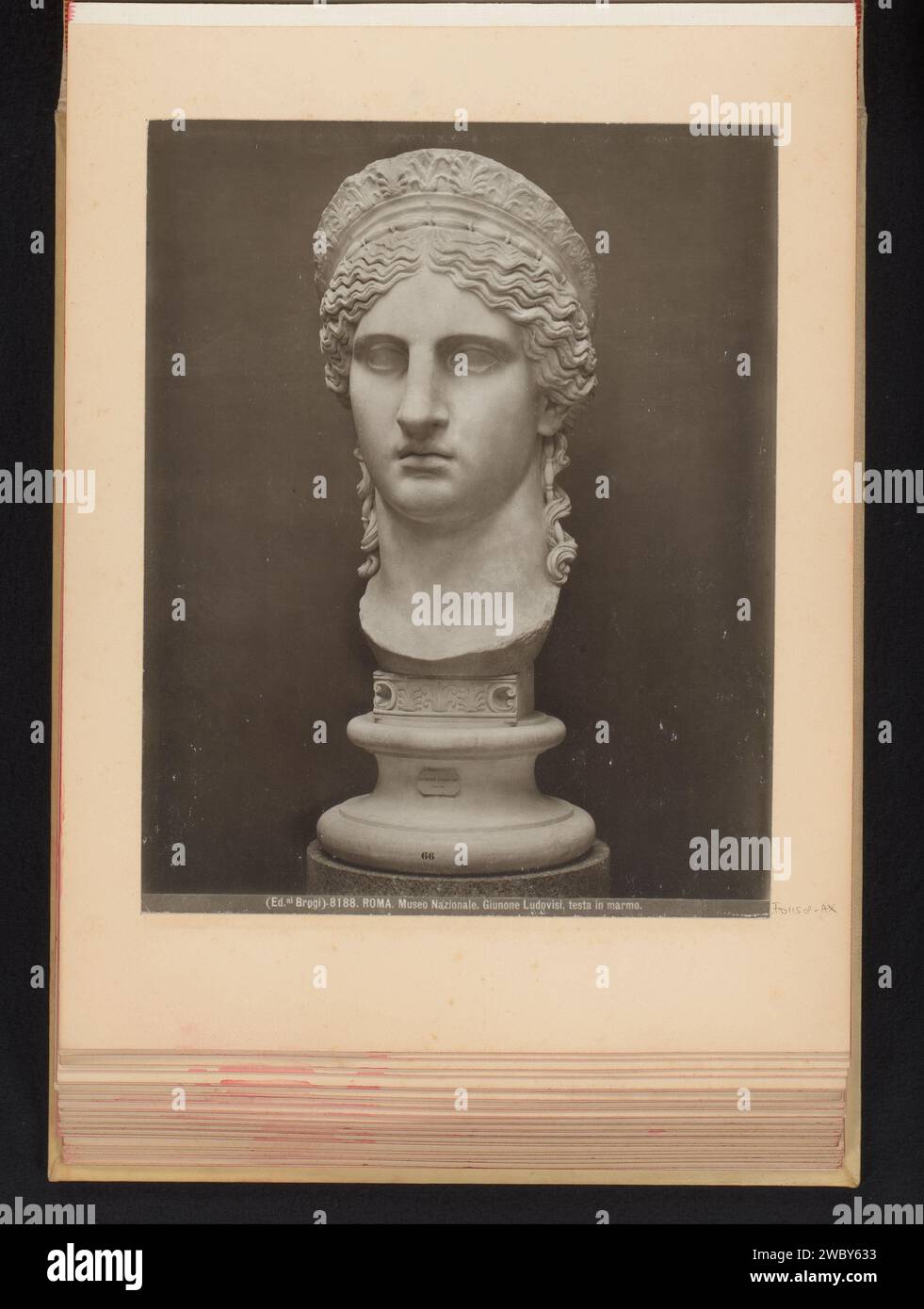 Busta Van Juno Ludovisi in Het National Museum Romano te Rome, édition Brogi, c. 1875 - en 1907 ou avant photographie partie de l'album photo avec des enregistrements de sites et d'œuvres d'art en Italie. Musée National romain support photographique sculpture d'impression argentique de gélatine. (Histoire de) Juno (Hera) Banque D'Images