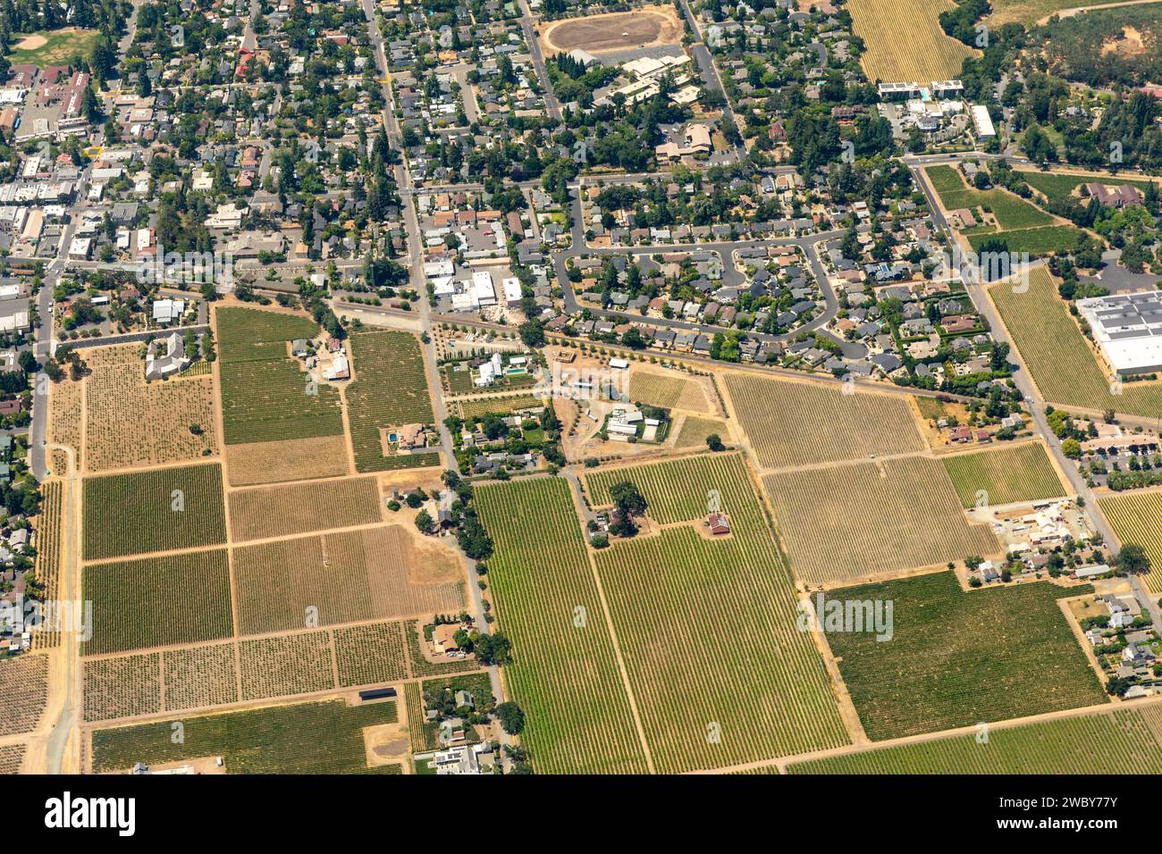 Vue aérienne de rangées vertes de plantes dans les champs agricoles, les vignobles et les villes agricoles du nord de la Californie Banque D'Images