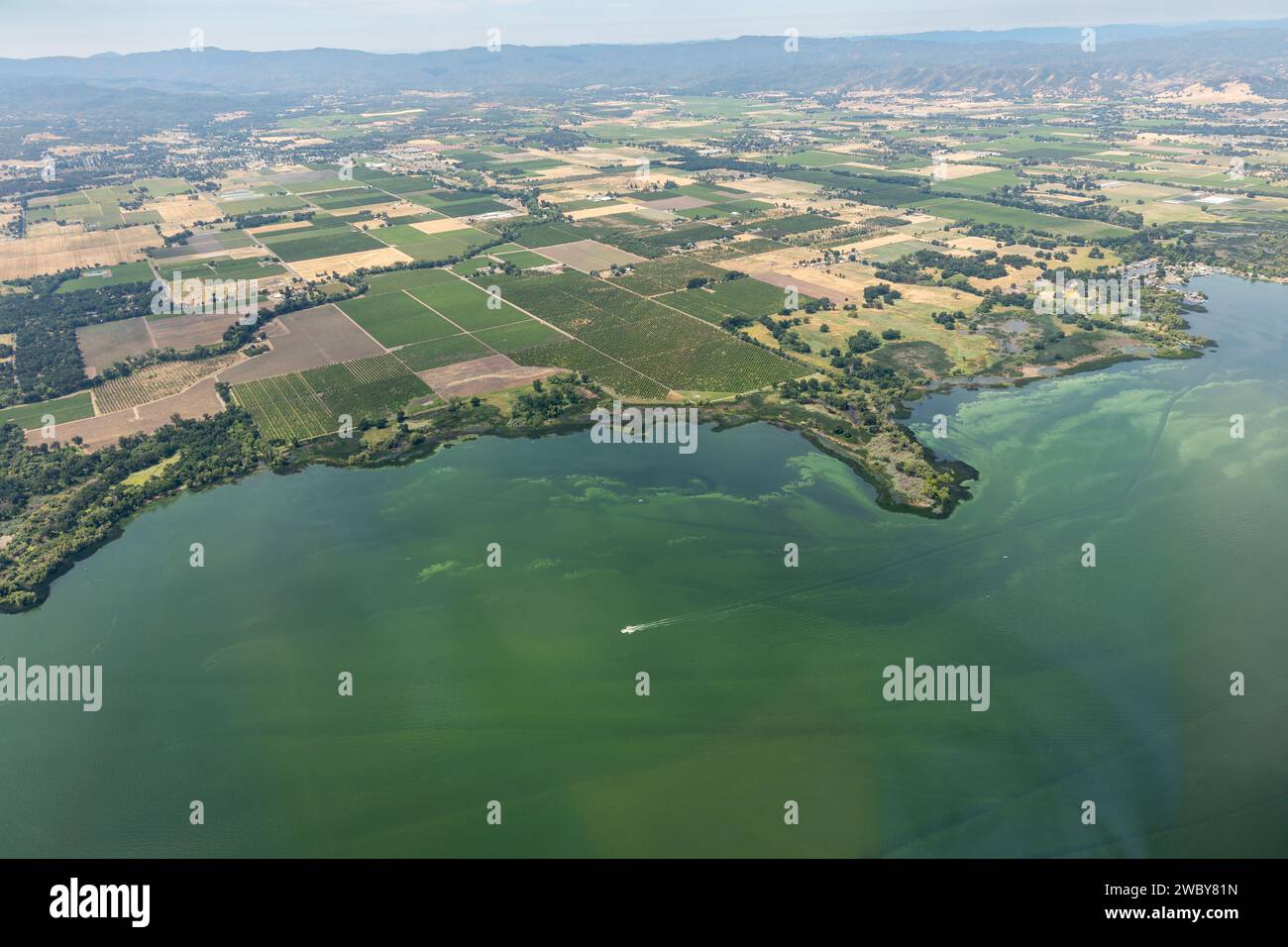 Vue aérienne des eaux vertes polluées du lac Clear et des effets environnementaux du ruissellement agricole causant la prolifération d'algues Banque D'Images