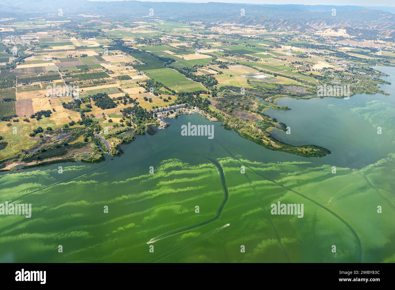 Vue aérienne des eaux vertes polluées du lac Clear et des effets environnementaux du ruissellement agricole causant la prolifération d'algues Banque D'Images