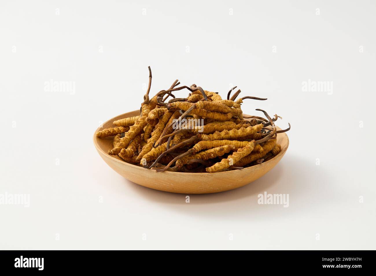 Cordyceps Sinensis séché contenu dans un plat en bois. Fond blanc. Cordyceps est souvent utilisé comme booster d'énergie naturelle Banque D'Images