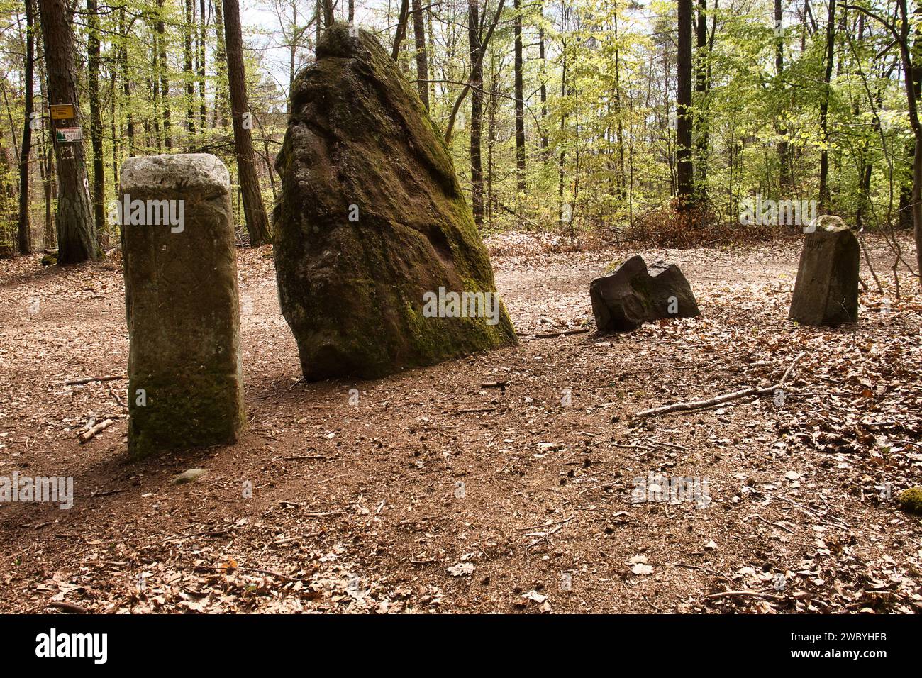 Monument Hinkelstein à côté d'un chemin de randonnée près d'Otterberg, en Allemagne dans la forêt du Palatinat un jour de printemps. Banque D'Images
