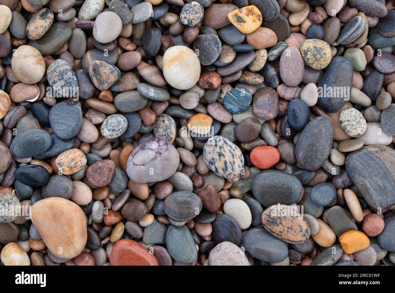 Mouillez Pebbles sur une plage. Morayshire, Écosse Banque D'Images