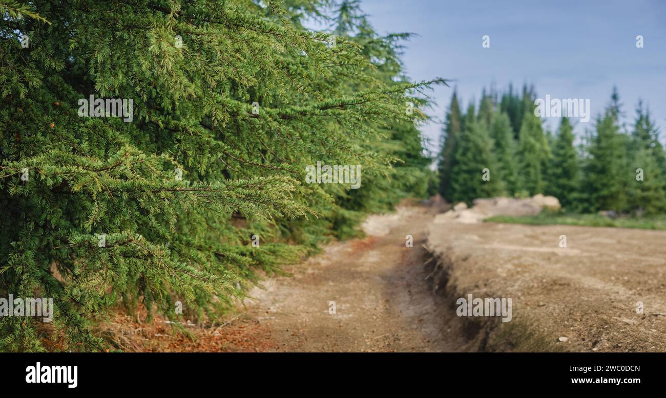 Bannière avec une belle route d'hiver dans les montagnes, une promenade dans la nature un week-end, une idée pour la publicité de chaussures de sport ou une maquette pour un produit Banque D'Images