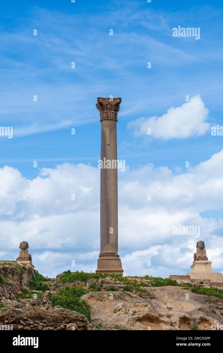 Deux sphinx et le pilier géant de Pompée antique sur le territoire de Serapeum d'Alexandrie en Egypte Banque D'Images