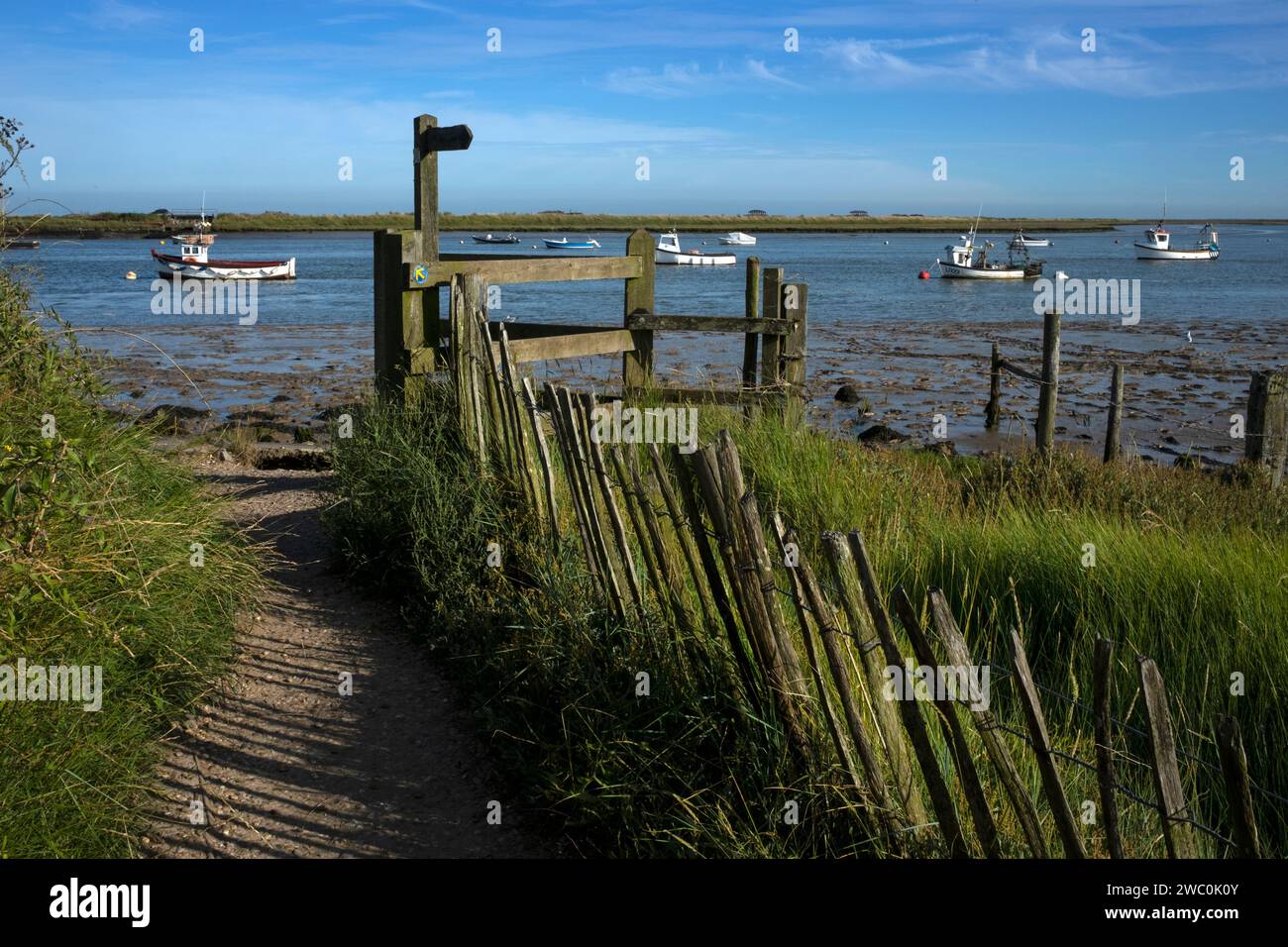 Chemin de la côte près du village d'Orford, Suffolk, Angleterre, Europe Banque D'Images