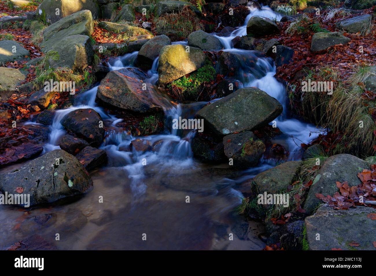 Par un froid matin d'hiver dans Padley gorge, l'eau claire du ruisseau Burbage coule rapidement entre et sur les roches de Gritstone. Banque D'Images