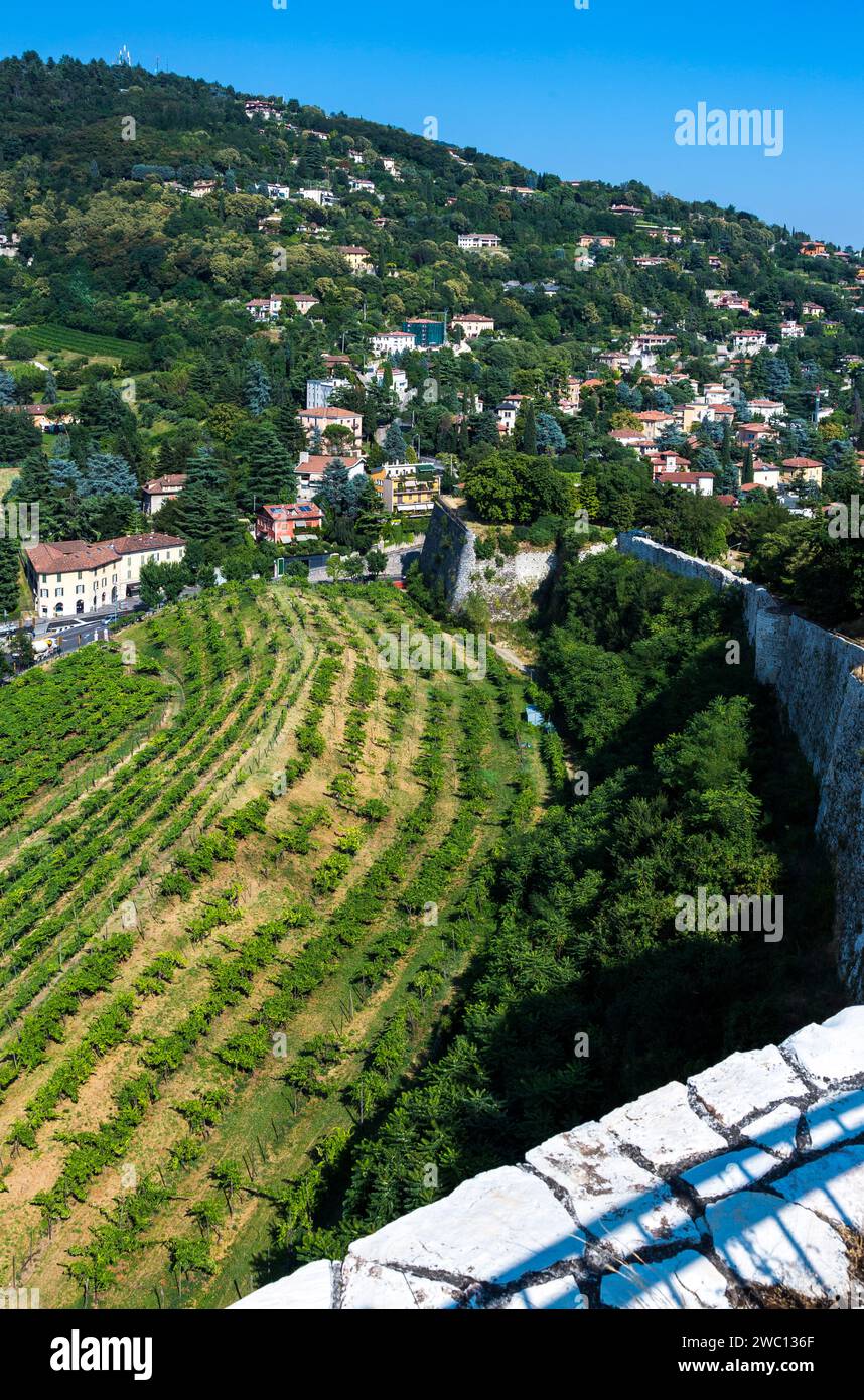 Italie, Lombardie, Brescia, vue sur le vignoble de Pusterla depuis le château du XVIIIe siècle. Banque D'Images