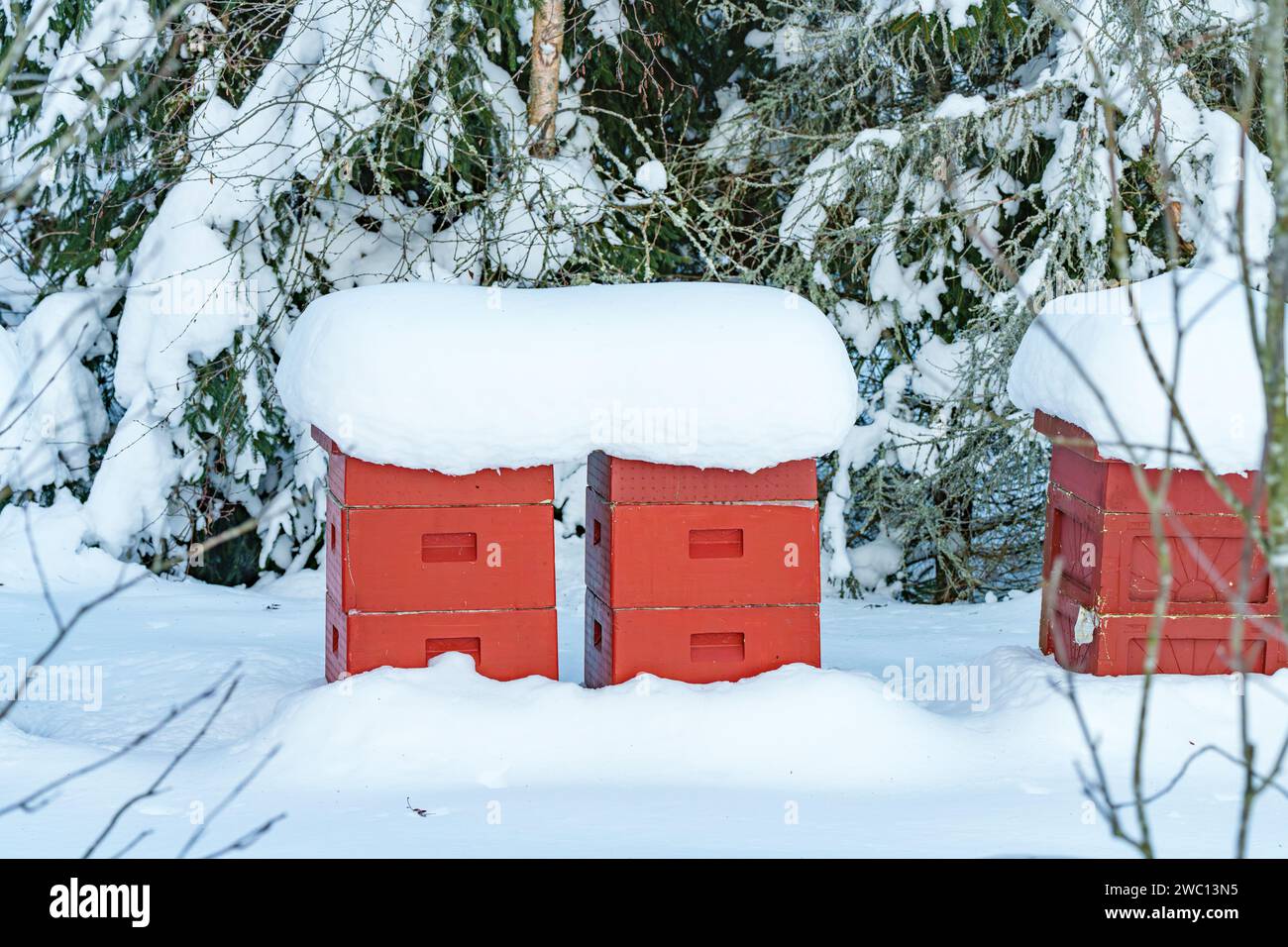 Un rucher rouge ou ruche d'abeilles est couvert et la neige est assis à l'extérieur pendant l'hiver froid. Banque D'Images