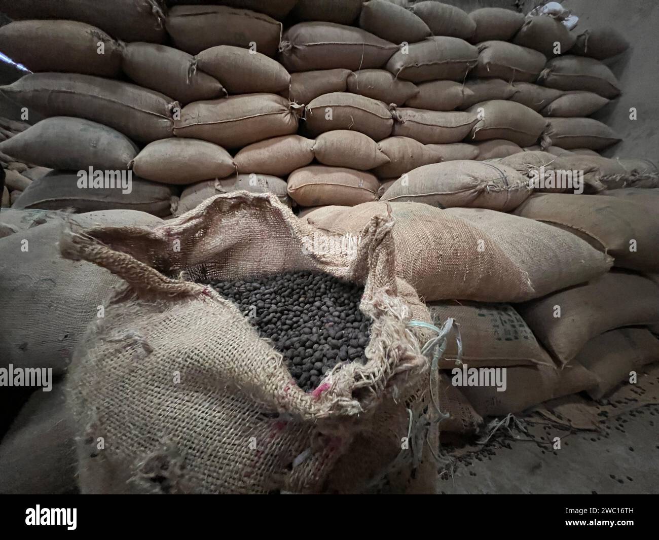 Sac textile rempli de grains de café torréfiés en attente d'être vendu, Sidama, Ethipoia Banque D'Images