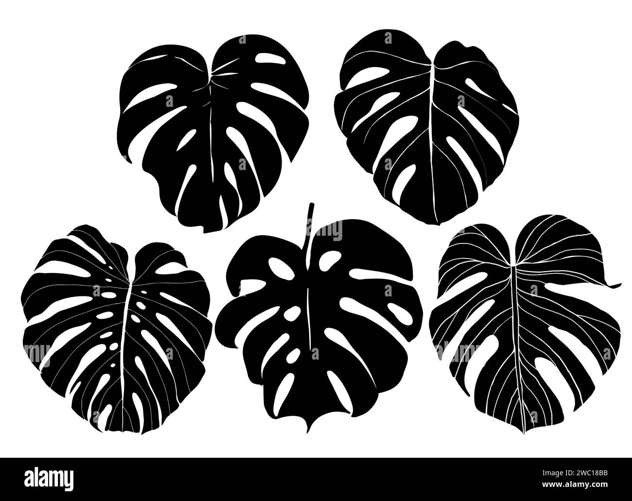 Ensemble de feuilles tropicales de Monstera, élément de conception de verdure feuilles de Monstera, plante de jungle. Silhouette de feuille de monstera pour logo ou carte, scrapbook design. V Illustration de Vecteur Ensemble de feuilles tropicales de Monstera, élément de conception de verdure feuilles de Monstera, plante de jungle. Silhouette de feuille de monstera pour logo ou carte, scrapbook design. V Illustration de Vecteur