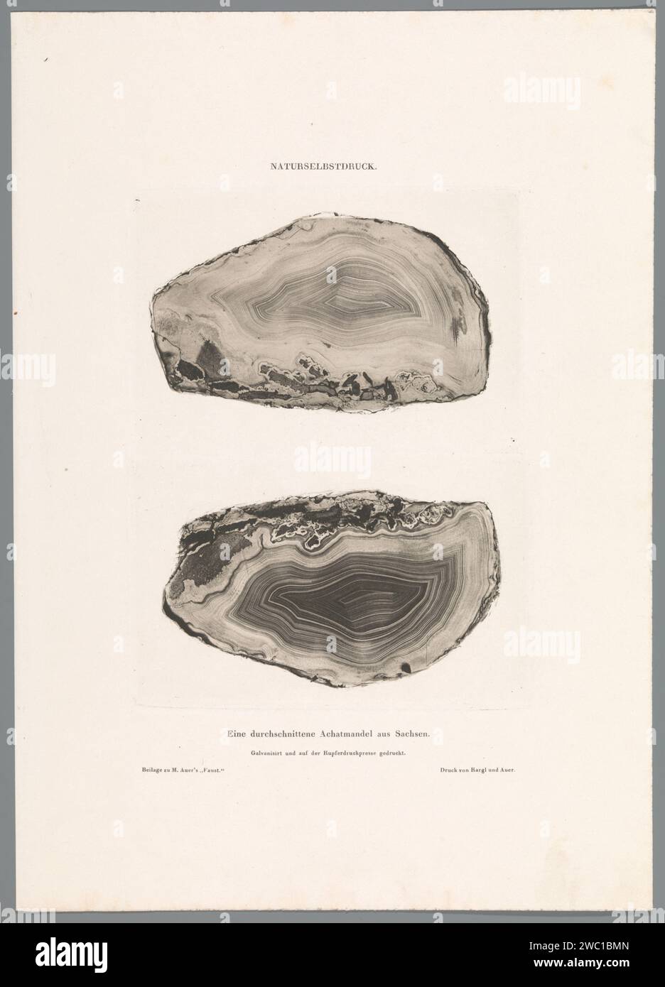 Diamètre d'un Achatmandel, Alois Auer (possible), 1855 tirage feuille de la série de 12 Naturselbstrucke Auer. Minéraux et métaux du papier de Vienne Banque D'Images