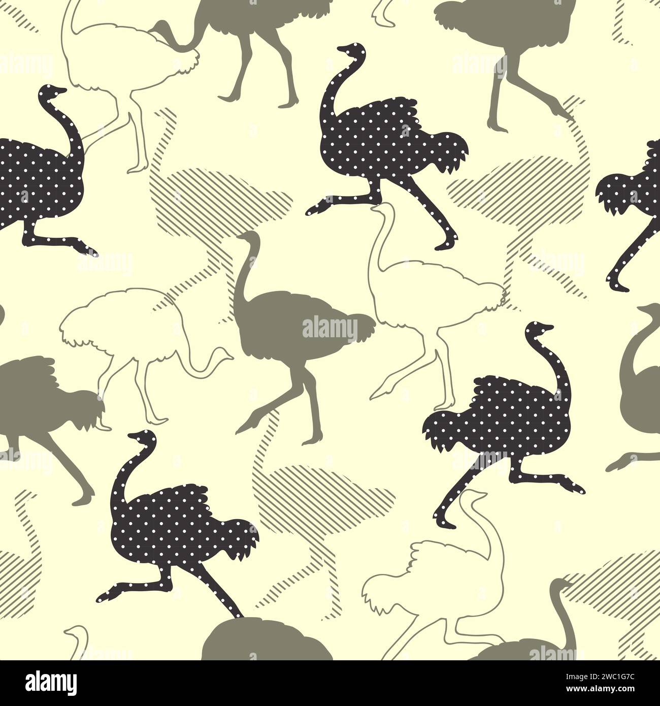 Motif autruche sans couture. Fond de vecteur avec silhouettes d'oiseaux Illustration de Vecteur