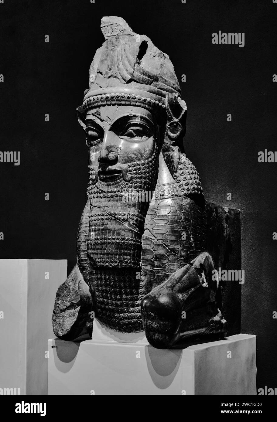 Téhéran (Téhéran), Iran, 06.24.2023 : relief de la bataille du Roi avec le lion. Musée national de l'Iran antique. Banque D'Images