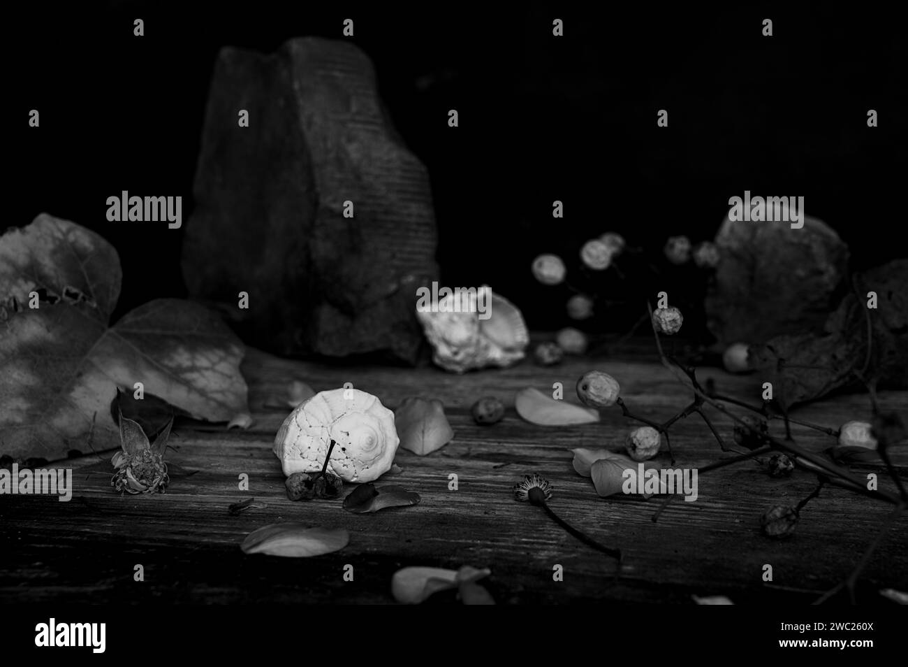 Nature morte pour des célébrations comme la Saint Valentin, Noël, Pâques Banque D'Images