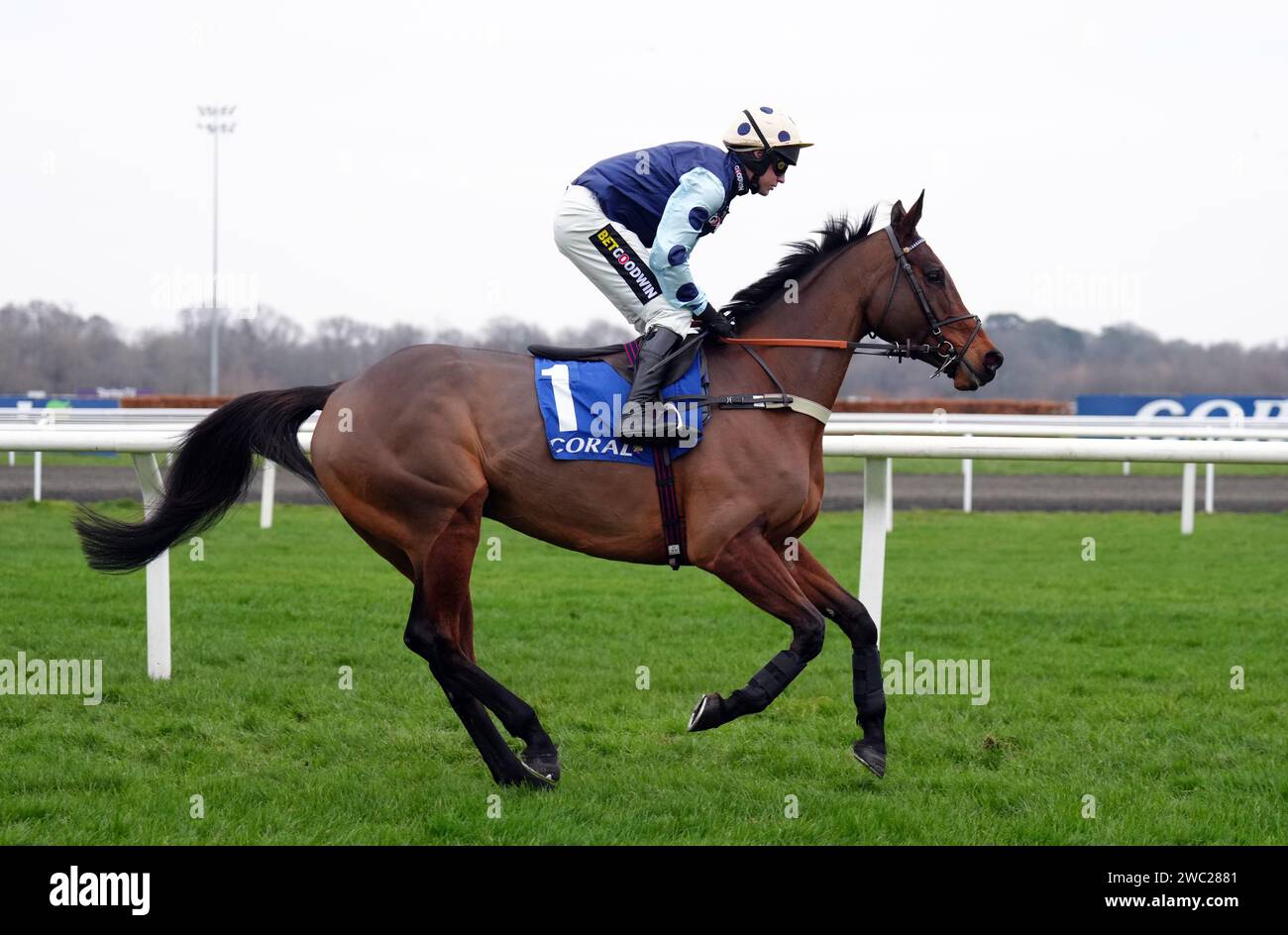 Edwardstone monté par Tom Cannon va au poste devant le Coral Silviniaco Conti Chase à Kempton Park, Sunbury-on-Thames. Date de la photo : samedi 13 janvier 2024. Banque D'Images