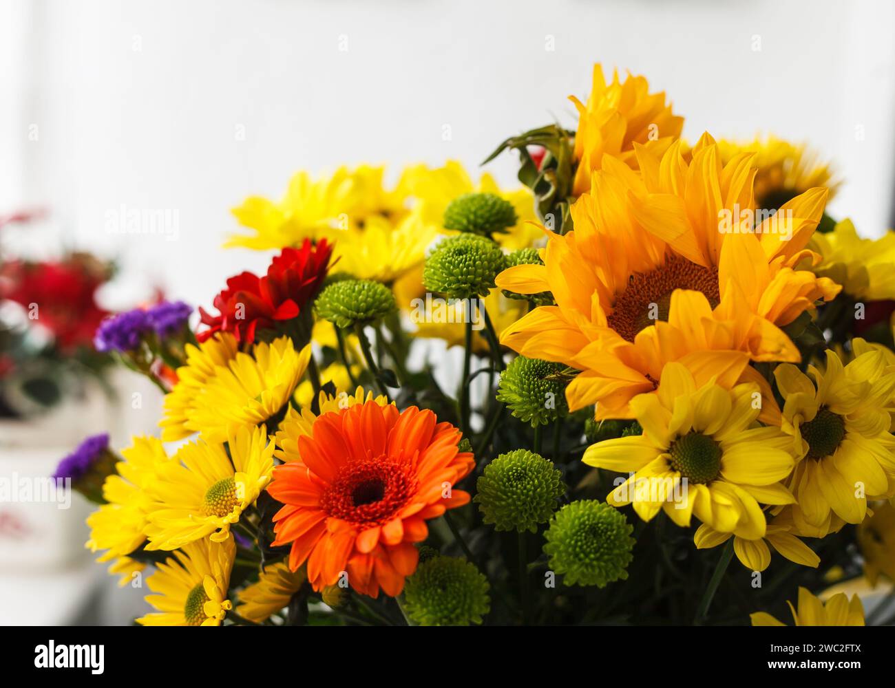 Bouquet coloré de fleurs fraîches Banque D'Images