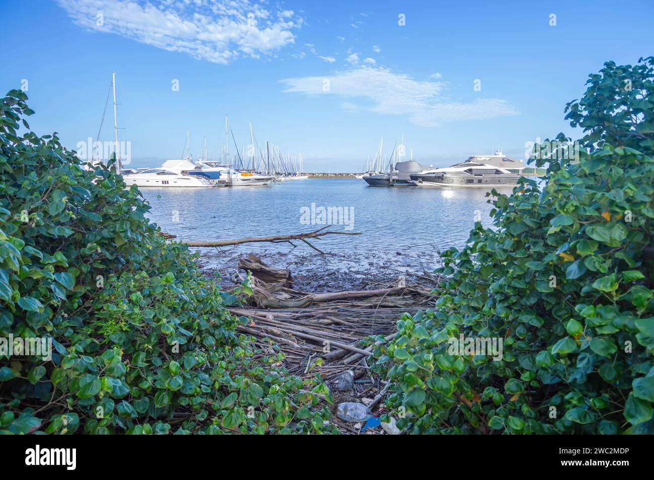 Itajaí-sc,brésil-janvier 11,2024 , bateaux et yachts garés dans la marina de la ville par une journée ensoleillée. Banque D'Images