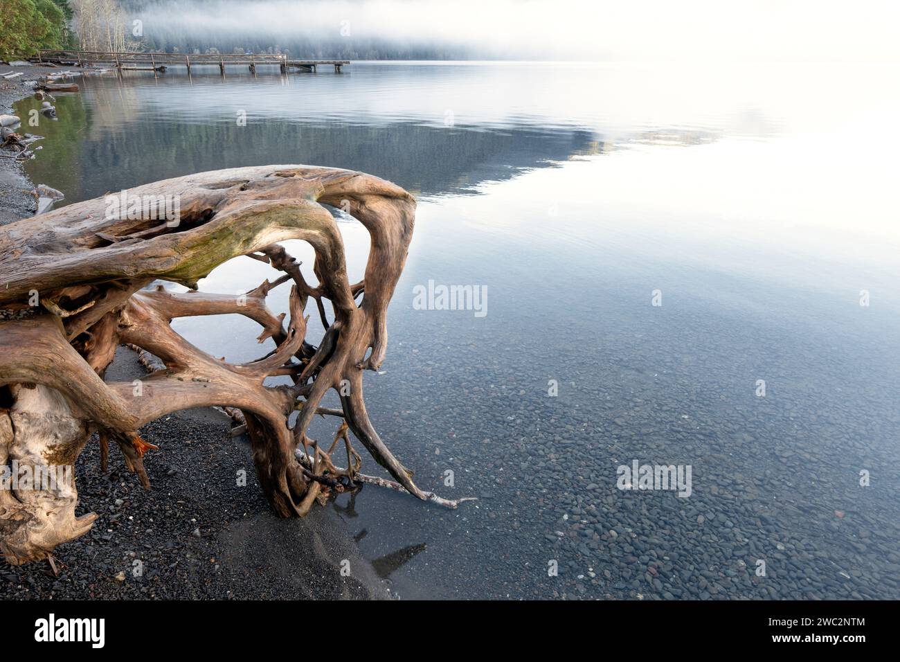 WA24661-00....WASHINGTON - soulèvement de brouillard au-dessus du Lake Crescent près du Lake Crescent Lodge. Banque D'Images